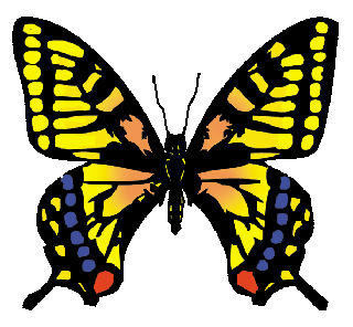 神明社 杜の昆虫